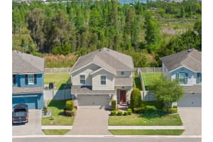 19487 ROSEATE DRIVE, LUTZ, FL 33558 Sold 10/30/25