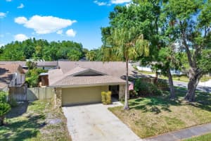 4101 HOLLOWTRAIL DRIVE, TAMPA, FL 33624 Sold 06/28/25