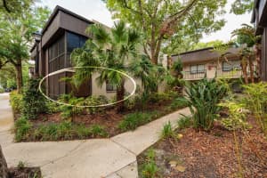 11708 RAINTREE VILLAGE BOULEVARD, TEMPLE TERRACE, FL 33617 - MLS#MFRTB8381007