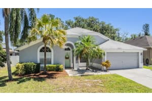18013 Palm Breeze Dr, TAMPA