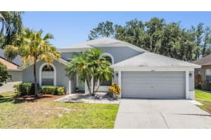 18013 PALM BREEZE DRIVE, TAMPA, FL 33647 Sold 10/17/25