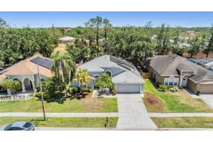 18013 PALM BREEZE DRIVE, TAMPA, FL 33647 Sold 10/17/25