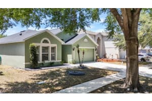10409 FLY FISHING STREET, RIVERVIEW, FL 33569 Sold 05/29/25
