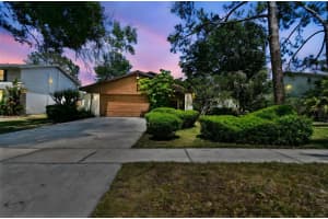 16503 COURSE DRIVE, TAMPA, FL 33624 - MLS#MFRTB8381087
