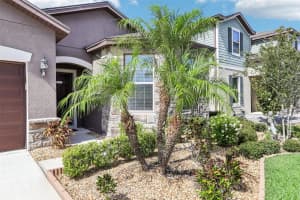 11688 BRIGHTON KNOLL LOOP, RIVERVIEW, FL 33579 Sold 08/29/25