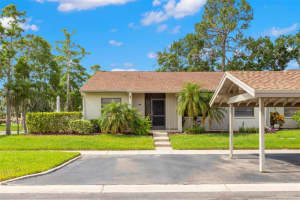 15 Tads Trl, OLDSMAR