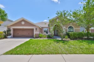 13742 Artesa Bell Dr, RIVERVIEW