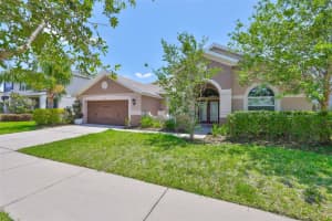 13742 ARTESA BELL DRIVE, RIVERVIEW, FL 33579 - MLS#MFRTB8381177