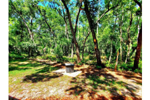 3529 TANGLEWOOD TRAIL, PALM HARBOR, FL 34685 - MLS#MFRTB8381178