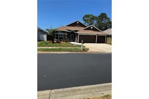 1747 Wood Brook St, TARPON SPRINGS