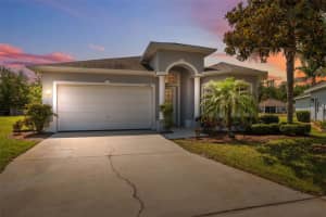 11220 GODWIT COURT, NEW PORT RICHEY, FL 34654 - MLS#MFRTB8381239