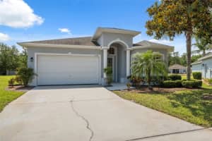 11220 GODWIT COURT, NEW PORT RICHEY, FL 34654 - MLS#MFRTB8381239