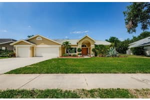 4452 BARDSDALE DRIVE, PALM HARBOR, FL 34685 Sold 06/26/25