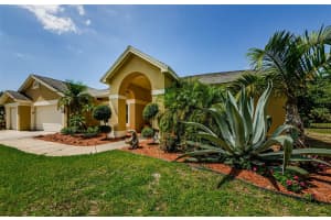 4452 BARDSDALE DRIVE, PALM HARBOR, FL 34685 Sold 06/26/25
