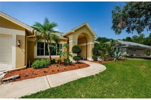 4452 BARDSDALE DRIVE, PALM HARBOR, FL 34685 Sold 06/26/25
