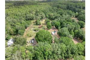 33403 MANDRAKE ROAD, WESLEY CHAPEL, FL 33543 - MLS#MFRTB8381375