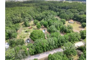33403 MANDRAKE ROAD, WESLEY CHAPEL, FL 33543 - MLS#MFRTB8381375