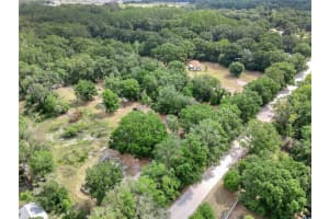 33403 MANDRAKE ROAD, WESLEY CHAPEL, FL 33543 - MLS#MFRTB8381375