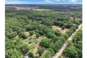 33403 MANDRAKE ROAD, WESLEY CHAPEL, FL 33543 - MLS#MFRTB8381375