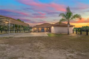 39427 COMSTOCK LANE, ZEPHYRHILLS, FL 33540 - MLS#MFRTB8381398