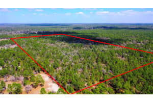7137 SUNMAR SAMPLE LANE, DUNNELLON, FL 34433 - MLS#MFRTB8381410