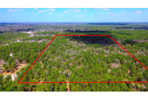 7137 SUNMAR SAMPLE LANE, DUNNELLON, FL 34433 - MLS#MFRTB8381410