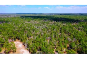 7137 SUNMAR SAMPLE LANE, DUNNELLON, FL 34433 - MLS#MFRTB8381410