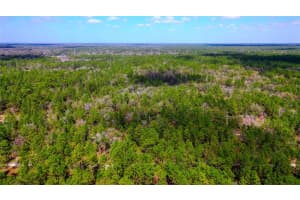 7137 SUNMAR SAMPLE LANE, DUNNELLON, FL 34433 - MLS#MFRTB8381410