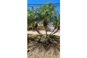 4772 DOVER STREET, ST PETERSBURG, FL 33703 - MLS#MFRTB8381485