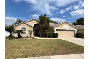 2213 Towering Oaks Cir, SEFFNER