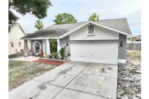 11314 Silverleaf Ct, RIVERVIEW