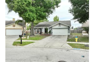 11314 SILVERLEAF COURT, RIVERVIEW, FL 33579 - MLS#MFRTB8381527