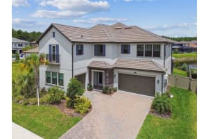 29895 Picana Ln, WESLEY CHAPEL