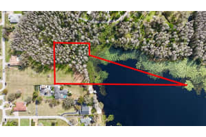 AURALEE ACRES LOT 3 BLOUNT RD, LUTZ, FL 33558 - MLS#MFRTB8381575