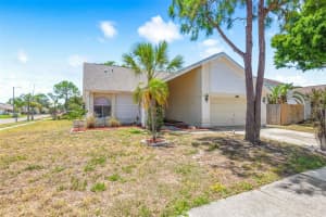12002 PEONY COURT, TAMPA, FL 33635 Sold 06/27/25