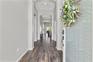 4124 CANONGATE COURT, SPRING HILL, FL 34609 Sold 11/03/25