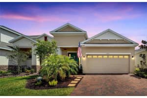 7423 Sungold Meadow Ct, APOLLO BEACH