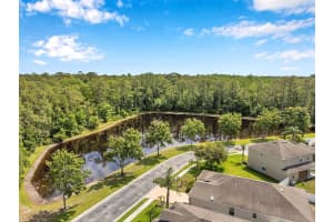 12831 WHITE BLUFF ROAD, HUDSON, FL 34669 - MLS#MFRTB8381740