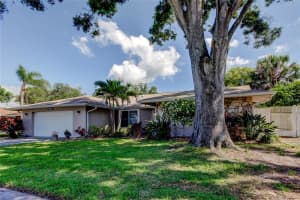 1041 PERSIMMON DRIVE, PALM HARBOR, FL 34683 Sold 06/13/25