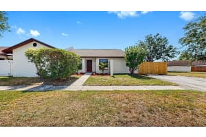 11301 HEDGEMORE DRIVE, TAMPA, FL 33624 Sold 06/02/25