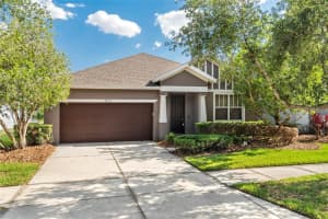 9031 SIENNA MOSS LANE, RIVERVIEW, FL 33578 Sold 09/04/25