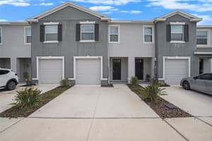 32803 PEZ LANDING LANE, WESLEY CHAPEL, FL 33543 Sold 07/30/25