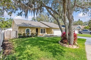 1017 HAMILTON AVENUE, TARPON SPRINGS, FL 34689 Sold 06/30/25