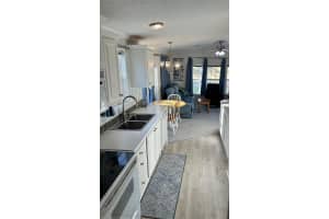 21034 LIRIO DRIVE, LAND O LAKES, FL 34637 - MLS#MFRTB8381935