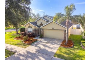 441 THICKET CREST ROAD, SEFFNER, FL 33584 Sold 07/25/25
