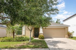 10036 CRESTED FRINGE DRIVE, RIVERVIEW, FL 33578 Sold 09/04/25