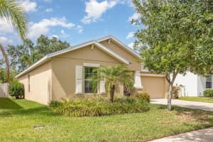 10036 CRESTED FRINGE DRIVE, RIVERVIEW, FL 33578 Sold 09/04/25