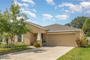 10036 CRESTED FRINGE DRIVE, RIVERVIEW, FL 33578 Sold 09/04/25