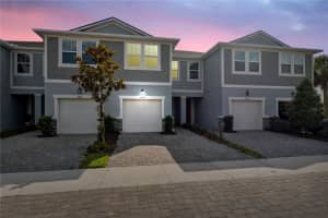 2529 Arbor Wind Dr, LUTZ
