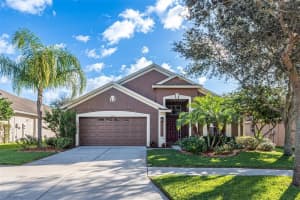 13653 Artesa Bell Dr, RIVERVIEW